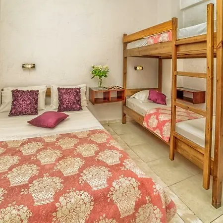 Roxani 3*